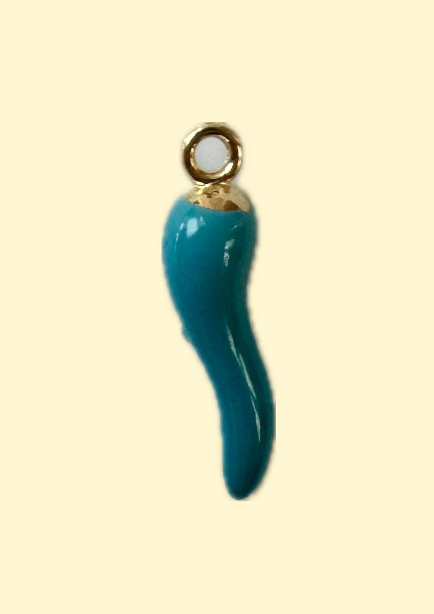 Charms piment bleu
