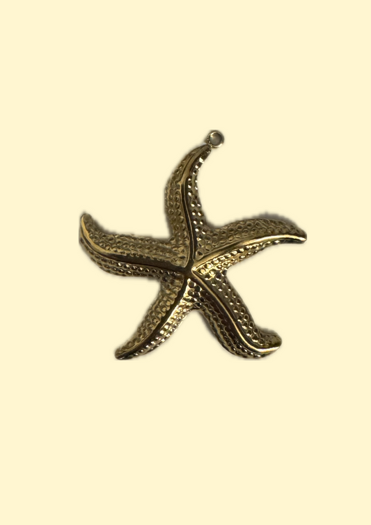 Charms grosse étoile de mer