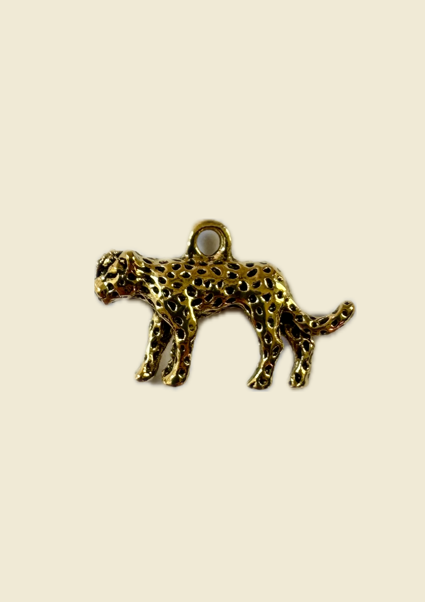 Charms guépard