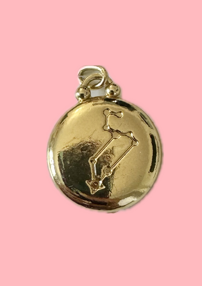 Charms signe astro lion