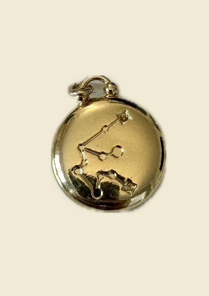 Charms signe astro verseau