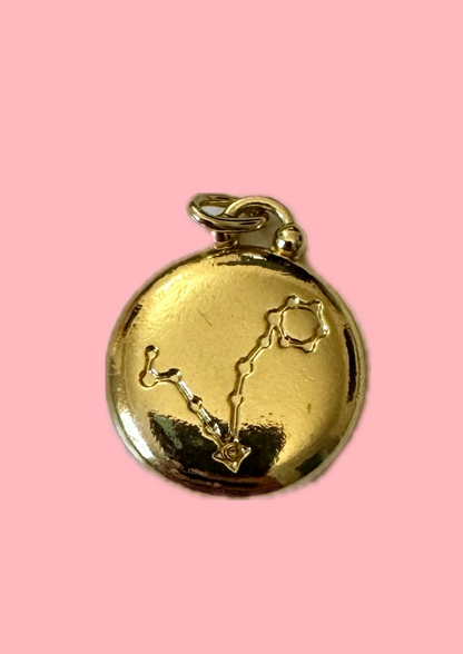 Charms signe astro poisson