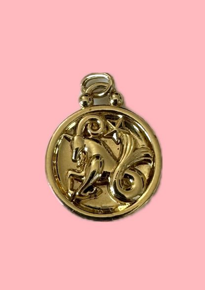 Charms signe astro capricorne